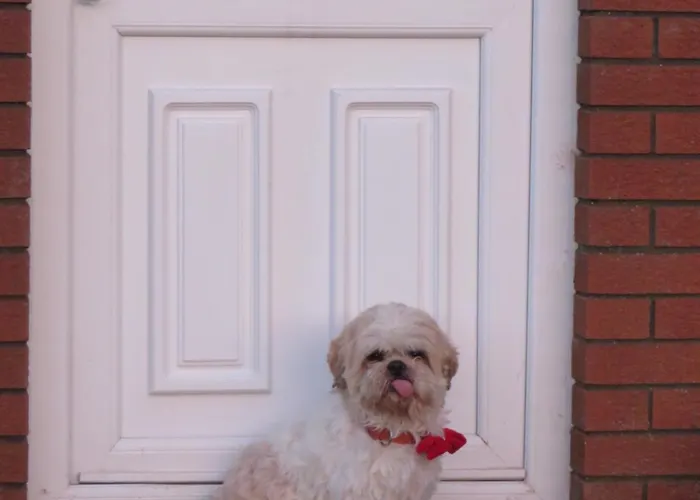 Nyaraló Bella Vista *