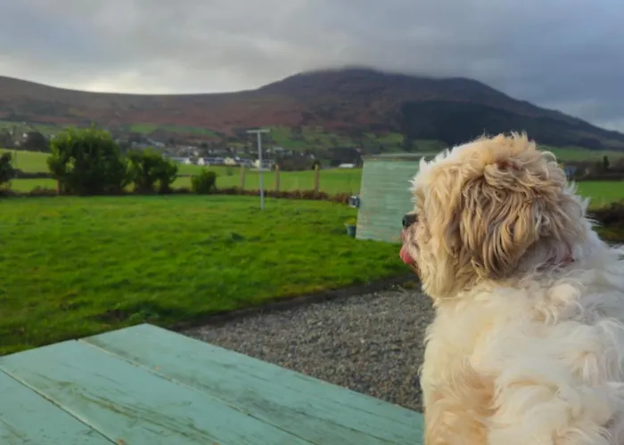 Bella Vista * Carlingford